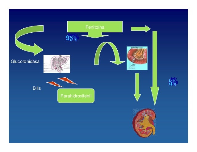 Phenytoin Level 16