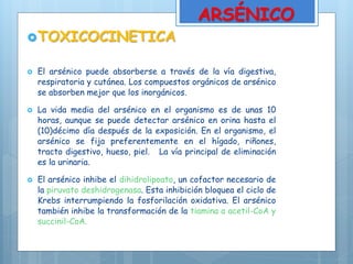 TOXICOCINETICA
 El arsénico puede absorberse a través de la vía digestiva,
respiratoria y cutánea. Los compuestos orgáni...