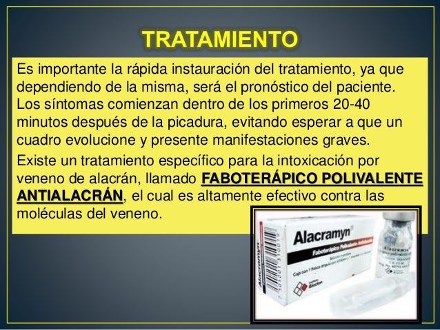 manejo picadura de alacran