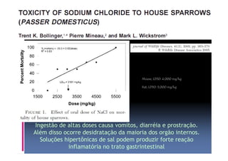 Mouse; LD50: 4,000 mg/kg 
Rat; LD50: 3,000 mg/kg 
Ingestão de altas doses causa vomitos, diarréia e prostração. 
Além disso ocorre desidratação da maioria dos orgão internos. 
Soluções hipertônicas de sal podem produzir forte reação 
inflamatória no trato gastrintestinal 
 
