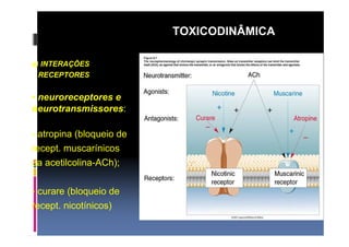 a) INTERAÇÕES 
RECEPTORES 
• neuroreceptores e 
neurotransmissores: 
- atropina (bloqueio de 
recept. muscarínicos 
da acetilcolina-ACh); 
- curare (bloqueio de 
recept. nicotínicos) 
TOXICODINÂMICA 
 