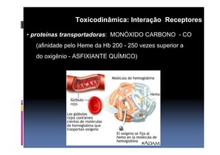 Toxicodinâmica: Interação Receptores 
• proteínas transportadoras: MONÓXIDO CARBONO - CO 
(afinidade pelo Heme da Hb 200 - 250 vezes superior a 
do oxigênio - ASFIXIANTE QUÍMICO) 
 
