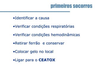 •Identificar a causa
•Verificar condições respiratórias
•Verificar condições hemodinâmicas
•Retirar ferrão e conservar
•Colocar gelo no local
•Ligar para o CEATOX
primeiros socorros
 