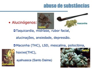 • Alucinógenos:
Taquicardia, midríase, rubor facial,
alucinações, ansiedade, depressão.
Maconha (THC), LSD, mescalina, psilocibina,
haxixe(THC),
ayahuasca (Santo Daime)
abuso de substâncias
maconha
maconha
haxixe
peiote
ayahuasca
 