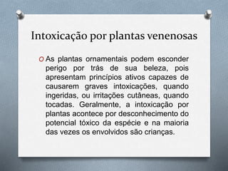 Intoxicação por plantas venenosas
O As plantas ornamentais podem esconder
perigo por trás de sua beleza, pois
apresentam princípios ativos capazes de
causarem graves intoxicações, quando
ingeridas, ou irritações cutâneas, quando
tocadas. Geralmente, a intoxicação por
plantas acontece por desconhecimento do
potencial tóxico da espécie e na maioria
das vezes os envolvidos são crianças.
 