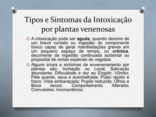 Tipos e Sintomas da Intoxicação
por plantas venenosas
O A intoxicação pode ser aguda, quando decorre de
um breve contato ou ingestão do componente
tóxico capaz de gerar manifestações graves em
um pequeno espaço de tempo, ou crônica,
decorrente da ingestão continuada acidental ou
proposital de certas espécies de vegetais.
O Alguns sinais e sintomas de envenenamento por
plantas são: Inchação no Local; Salivação
abundante; Dificuldade e dor ao Engolir; Vômito;
Pele quente, seca e avermelhada; Pulso rápido e
fraco; Vista embaraçada; Pupila reduzida; Olhos e
Boca secos; Comportamento Alterado;
Convulsões; Inconsciência.
 