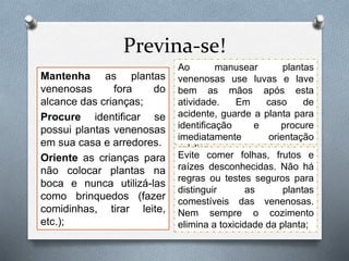 Previna-se!
Mantenha as plantas
venenosas fora do
alcance das crianças;
Procure identificar se
possui plantas venenosas
em sua casa e arredores.
Oriente as crianças para
não colocar plantas na
boca e nunca utilizá-las
como brinquedos (fazer
comidinhas, tirar leite,
etc.);
Ao manusear plantas
venenosas use luvas e lave
bem as mãos após esta
atividade. Em caso de
acidente, guarde a planta para
identificação e procure
imediatamente orientação
médica.
Evite comer folhas, frutos e
raízes desconhecidas. Não há
regras ou testes seguros para
distinguir as plantas
comestíveis das venenosas.
Nem sempre o cozimento
elimina a toxicidade da planta;
 
