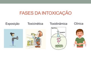 INTOXICAÇÃO E SUAS FASES COMPLETAS...... | PDF