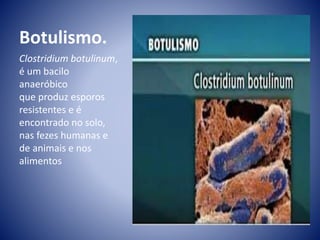 Botulismo. 
Clostridium botulinum, 
é um bacilo 
anaeróbico 
que produz esporos 
resistentes e é 
encontrado no solo, 
nas fezes humanas e 
de animais e nos 
alimentos 
 