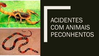 ACIDENTES
COM ANIMAIS
PECONHENTOS
 