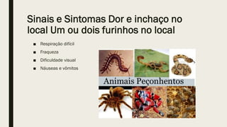 Sinais e Sintomas Dor e inchaço no
local Um ou dois furinhos no local
■ Respiração difícil
■ Fraqueza
■ Dificuldade visual
■ Náuseas e vômitos
 