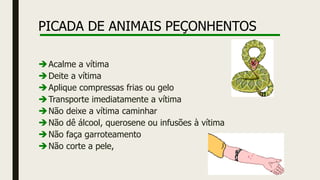 PICADA DE ANIMAIS PEÇONHENTOS
Acalme a vítima
Deite a vítima
Aplique compressas frias ou gelo
Transporte imediatamente a vítima
Não deixe a vítima caminhar
Não dê álcool, querosene ou infusões à vítima
Não faça garroteamento
Não corte a pele,
 