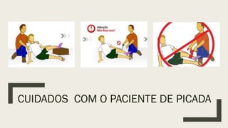 CUIDADOS COM O PACIENTE DE PICADA
 