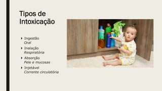 Tipos de
Intoxicação
 Ingestão
Oral
 Inalação
Respiratória
 Absorção
Pele e mucosas
 Injetável
Corrente circulatória
 