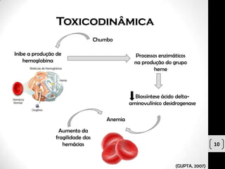 Toxicodinâmica
                                  Chumbo

Inibe a produção de                               Processos enzimáticos
    hemoglobina                                  na produção do grupo
                                                          heme



                                                 Biossíntese ácido delta-
                                               aminovulínico desidrogenase

                                      Anemia

                 Aumento da
                fragilidade das
                   hemácias                                                       10


                                                                  (GUPTA, 2007)
 
