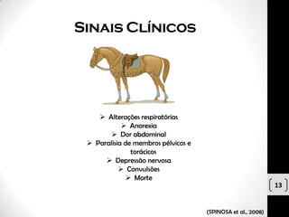 Sinais Clínicos




     Alterações respiratórias
             Anorexia
         Dor abdominal
  Paralisia de membros pélvicos e
               torácicos
       Depressão nervosa
            Convulsões
              Morte
                                                              13


                                     (SPINOSA et al., 2008)
 
