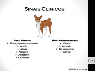 Sinais Clínicos




      Sinais Nervosos          Sinais Gastrointestinais
 Alterações comportamentais           Vômitos
          Apatia                      Anorexia
           Ataxia                  Dor abdominal
         Nistagmo                     Diarreia
        Opistótomo
         Convulsões
                                                                      14


                                             (SPINOSA et al., 2008)
 