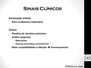 Sinais Clínicos
• Intoxicação crônica
  • Rara na Medicina Veterinária


• Ovinos
  • Paralisia de membros posteriores
  • Análise sanguínea
     • Reticulócitos
     • Anemia normocítica normocrômica
  • Maior susceptibilidade a infecções  Imunossupressão



                                                                              15


                                                     (SPINOSA et al., 2008)
 