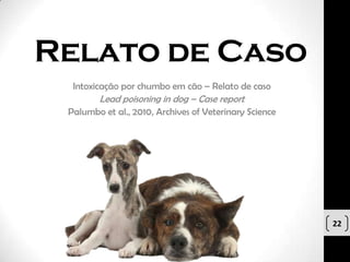 Relato de Caso
  Intoxicação por chumbo em cão – Relato de caso
        Lead poisoning in dog – Case report
 Palumbo et al., 2010, Archives of Veterinary Science




                                                        22
 