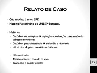 Relato de Caso
• Cão macho, 2 anos, SRD
• Hospital Veterinário da UNESP-Botucatu

• Histórico
  • Distúrbios neurológicos  agitação vocalização, compressão da
    cabeça e convulsões
  • Distúrbios gastrointestinais  sialorréia e hiporexia
  • Há 10 dias  piora nas últimas 24 horas

  • Não vacinado
  • Alimentado com comida caseira
  • Tendência a engolir objetos                                     23
 