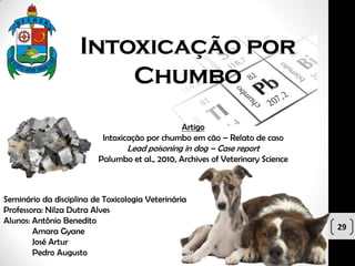 Intoxicação por
                        Chumbo
                                               Artigo
                           Intoxicação por chumbo em cão – Relato de caso
                                 Lead poisoning in dog – Case report
                         Palumbo et al., 2010, Archives of Veterinary Science



Seminário da disciplina de Toxicologia Veterinária
Professora: Nilza Dutra Alves
Alunos: Antônio Benedito
        Amara Gyane                                                             29
        José Artur
        Pedro Augusto
 