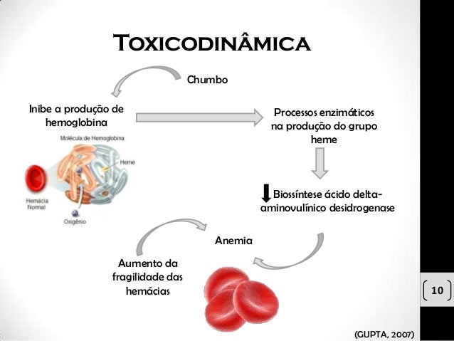 Intoxicação por chumbo