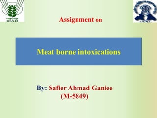 Assignment on
Meat borne intoxications
By: Safier Ahmad Ganiee
(M-5849)
 