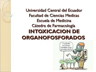 Universidad Central del EcuadorUniversidad Central del Ecuador
Facultad de Ciencias MedicasFacultad de Ciencias Medicas
Escuela de MedicinaEscuela de Medicina
Cátedra de FarmacologíaCátedra de Farmacología
INTOXICACION DEINTOXICACION DE
ORGANOFOSFORADOSORGANOFOSFORADOS
 