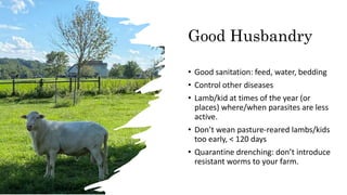 Good Husbandry
• Good sanitation: feed, water, bedding
• Control other diseases
• Lamb/kid at times of the year (or
places...