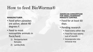 How to feed BioWorma®
MANUFACTURER
• Feed when parasites
are active, above 40
degrees F.
• Feed to most
susceptible animal...