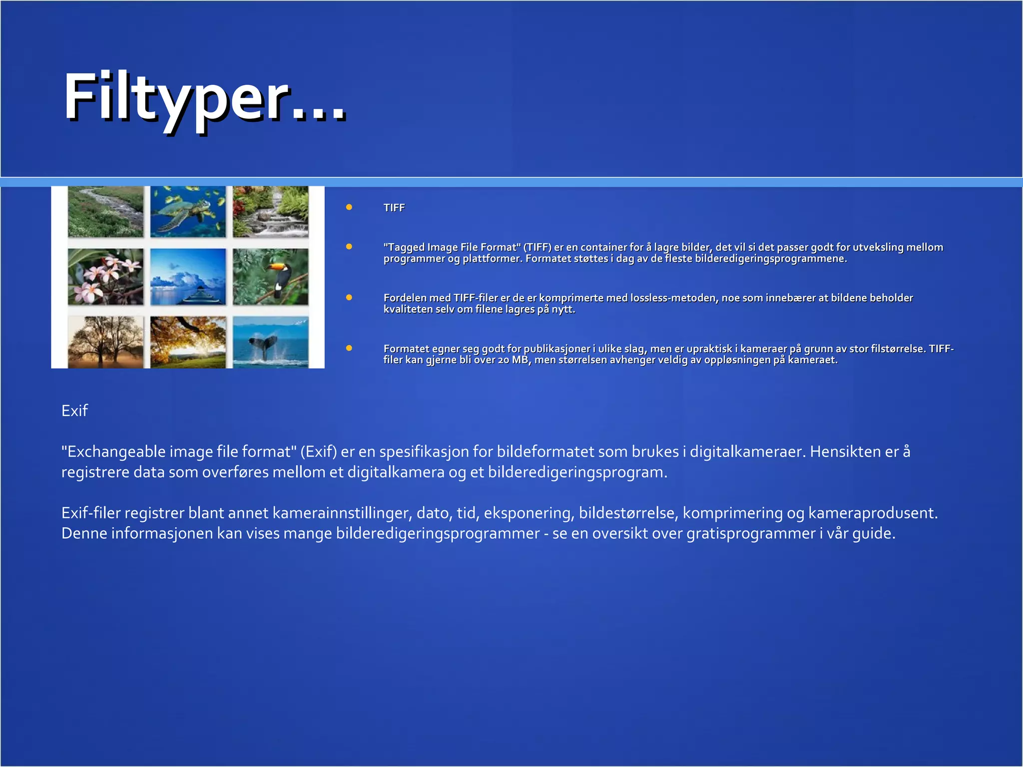Filtyper… TIFF &quot;Tagged Image File Format&quot; (TIFF) er en container for å lagre bilder, det vil si det passer godt for utveksling mellom programmer og plattformer. Formatet støttes i dag av de fleste bilderedigeringsprogrammene.  Fordelen med TIFF-filer er de er komprimerte med lossless-metoden, noe som innebærer at bildene beholder kvaliteten selv om filene lagres på nytt.  Formatet egner seg godt for publikasjoner i ulike slag, men er upraktisk i kameraer på grunn av stor filstørrelse. TIFF-filer kan gjerne bli over 20 MB, men størrelsen avhenger veldig av oppløsningen på kameraet.  Exif &quot;Exchangeable image file format&quot; (Exif) er en spesifikasjon for bildeformatet som brukes i digitalkameraer. Hensikten er å registrere data som overføres mellom et digitalkamera og et bilderedigeringsprogram. Exif-filer registrer blant annet kamerainnstillinger, dato, tid, eksponering, bildestørrelse, komprimering og kameraprodusent. Denne informasjonen kan vises mange bilderedigeringsprogrammer - se en oversikt over gratisprogrammer i vår guide.  