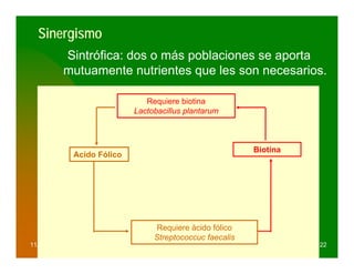 Sinergismo
             Sintrófica: dos o más poblaciones se aporta
             mutuamente nutrientes que les son necesarios.

                                Requiere biotina
                             Lactobacillus plantarum



                                                           Biotina
              Acido Fólico




                                  Requiere ácido fólico
                                  Streptococcuc faecalis
11/09/2006                                                           22
 