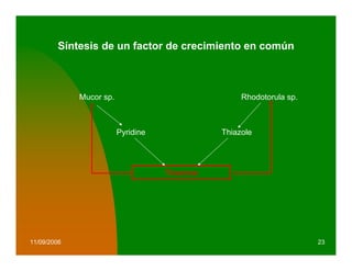Síntesis de un factor de crecimiento en común



             Mucor sp.                              Rhodotorula sp.



                         Pyridine              Thiazole




                                    Thiamine




11/09/2006                                                            23
 