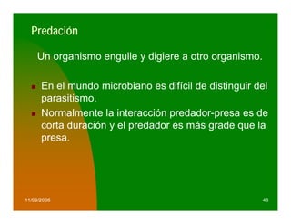 Predación

    Un organismo engulle y digiere a otro organismo.

      En el mundo microbiano es difícil de distinguir del
      parasitismo.
      Normalmente la interacción predador-presa es de
      corta duración y el predador es más grade que la
      presa.




11/09/2006                                             43
 