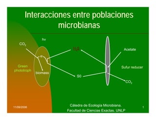 Interacciones entre poblaciones
                  microbianas
                hv
    CO2
                          H2S                           Acetate
               e-

  Green                                               Sufur reducer
phototroph
             biomass
                            S0
                                                            CO2




11/09/2006
                        Cátedra de Ecología Microbiana.           1
                       Facultad de Ciencias Exactas. UNLP
 