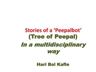 Stories of a ‘Peepalbot’
(Tree of Peepal)
In a multidisciplinary
way
Hari Bol Kafle
 