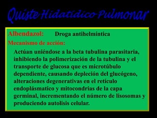 Albendazol:

Droga antihelmíntica
Mecanismo de acción:
Actúan uniéndose a la beta tubulina parasitaria,
inhibiendo la polimerización de la tubulina y el
transporte de glucosa que es microtúbulo
dependiente, causando depleción del glucógeno,
alteraciones degenerativas en el retículo
endoplásmatico y mitocondrias de la capa
germinal, incrementando el número de lisosomas y
produciendo autolisis celular.

 