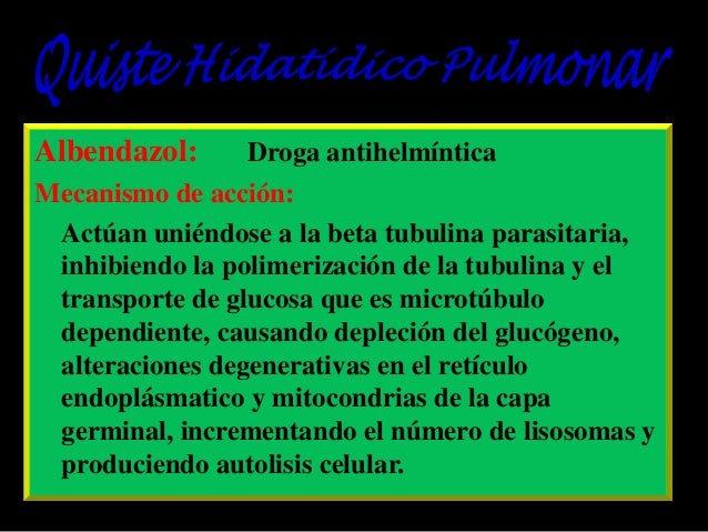 Quiste Hidatidico quiste-hidatidico