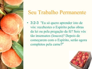 Seu Trabalho Permanente
• 3:2-3 “Eu só quero aprender isto de
vós: recebestes o Espírito pelas obras
da lei ou pela pregação da fé? Sois vós
tão insensatos (loucos)? Depois de
começarem com o Espírito, serão agora
completos pela carne?”
 