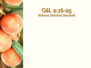 Gál. 2:16-25Gál. 2:16-25
Holman Christian StandardHolman Christian Standard
 