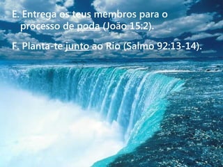 F. Planta-te junto ao Rio (Salmo 92:13-14).
E. Entrega os teus membros para o
processo de poda (João 15:2).
 
