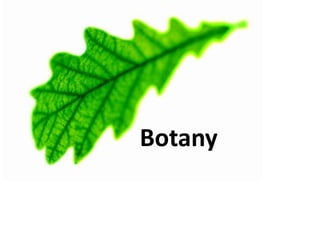 Botany
 