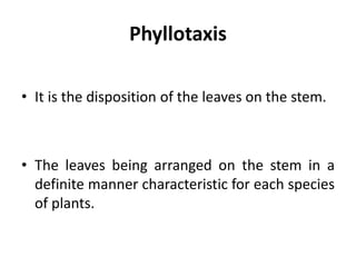 Phyllotaxis
• It is the disposition of the leaves on the stem.
• The leaves being arranged on the stem in a
definite manner characteristic for each species
of plants.
 