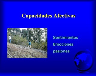 Capacidades Afectivas
Sentimientos
Emociones
pasiones
 