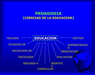 PEDAGOGIA
(CIENCIAS DE LA EDUCACION)
EDUCACIONTEOLOGIA
FILOSOFIA DE
SOCIOLOGIA DE
PSICOLOGIA
BIOLOGIA H.
CURRICULUM
DIDACTIC
A
ORIENTACION
ADMINISTRACIO
N
EVALUACION
GESTION
 