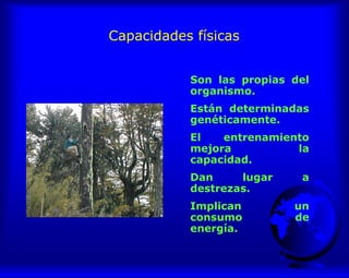 Capacidades físicas
Son las propias del
organismo.
Están determinadas
genéticamente.
El entrenamiento
mejora la
capacidad.
Dan lugar a
destrezas.
Implican un
consumo de
energía.
 