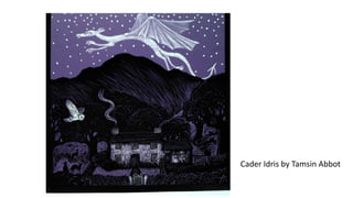 Cader Idris by Tamsin Abbot
 