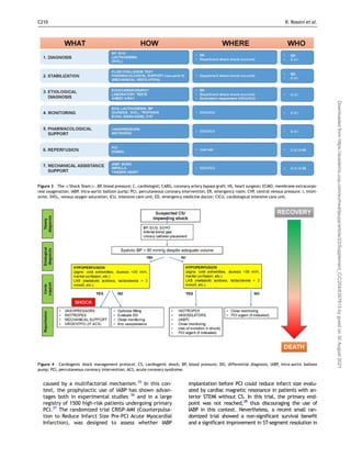 caused by a multifactorial mechanism.35
In this con-
text, the prophylactic use of IABP has shown advan-
tages both in experimental studies 36
and in a large
registry of 1500 high-risk patients undergoing primary
PCI.37
The randomized trial CRISP-AMI (Counterpulsa-
tion to Reduce Infarct Size Pre-PCI Acute Myocardial
Infarction), was designed to assess whether IABP
implantation before PCI could reduce infarct size evalu-
ated by cardiac magnetic resonance in patients with an-
terior STEMI without CS. In this trial, the primary end-
point was not reached,38
thus discouraging the use of
IABP in this context. Nevertheless, a recent small ran-
domized trial showed a non-significant survival benefit
and a significant improvement in ST-segment resolution in
Figure 3 The Shock Team. BP, blood pressure; C, cardiologist; CABG, coronary artery bypass graft; HS, heart surgeon; ECMO, membrane extracorpo-
real oxygenation; IABP, intra-aortic balloon pump; PCI, percutaneous coronary intervention; ER, emergency room; CVP, central venous pressure; I, inten-
sivist; SVO2, venous oxygen saturation; ICU, intensive care unit; ED, emergency medicine doctor; CICU, cardiological intensive care unit.
Figure 4 Cardiogenic shock management protocol. CS, cardiogenic shock; BP, blood pressure; DO, differential diagnosis; IABP, intra-aortic balloon
pump; PCI, percutaneous coronary intervention; ACS, acute coronary syndrome.
C210 R. Rossini et al.
Downloaded
from
https://academic.oup.com/eurheartjsupp/article/23/Supplement_C/C204/6357813
by
guest
on
30
August
2021
 