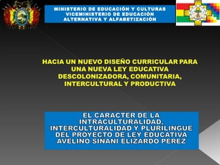 MINISTERIO DE EDUCACIÓN Y CULTURAS VICEMINISTERIO DE EDUCACIÓN ALTERNATIVA Y ALFABETIZACIÓN 