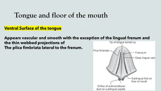 Tongue and floor of the mouth
Ventral Surface of the tongue
Appears vascular and smooth with the exception of the lingual frenum and
the thin webbed projections of
The plica fimbriata lateral to the frenum.
 